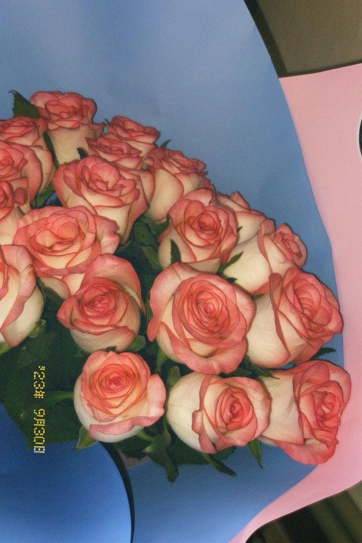 Celestial Embrace: Exotic Flowers in Heavenly Array